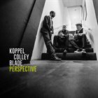 BENJAMIN KOPPEL Benjamin Koppel, Scott Colley & Brian Blade : Perspective album cover