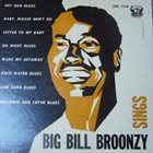 BIG BILL BROONZY Big Bill Broonzy Sings album cover