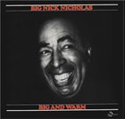 BIG NICK NICHOLAS Big And Warm album cover