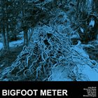 BIGFOOT METER Bigfoot Meter album cover