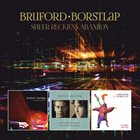 BILL BRUFORD Bruford-Borstlap : Sheer Reckless Abandon album cover