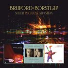 BILL BRUFORD Bruford-Borstlap : Sheer Reckless Abandon album cover
