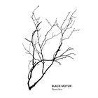 BLACK MOTOR Branches album cover