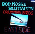 RA KALAM BOB MOSES Drumming Birds album cover