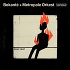 BOKANTÉ Bokanté & Metropole Orkest : What Heat album cover