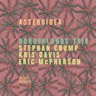 BORDERLANDS TRIO Asteroidea album cover