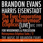 BRANDON EVANS The Ever​-​Evaporating Sea Of Heironymous Eclipticus album cover