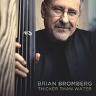 BRIAN BROMBERG Thicker Than Water album cover