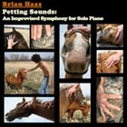 BRIAN HAAS Petting Sounds album cover