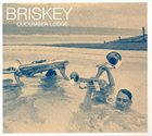 BRISKEY Cucumber Lodge album cover