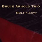 BRUCE ARNOLD Multiplicity album cover