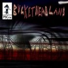 BUCKETHEAD Final Bend of the Labyrinth album cover