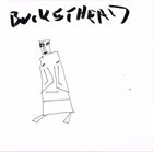 BUCKETHEAD Pike 12 album cover