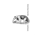 BURKHARD STANGL Burkhard Stangl / Steve Bates : Hopefullessness album cover