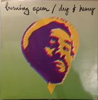 BURNING SPEAR Dry & Heavy album cover