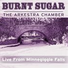 BURNT SUGAR Live from Minnegiggle Falls album cover