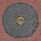 BUSDRIVER RoadKillOvercoat album cover