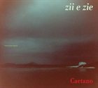 CAETANO VELOSO Zii e zie album cover