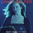 CANDY DULFER What Does It Take album cover