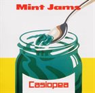 CASIOPEA Mint Jams album cover