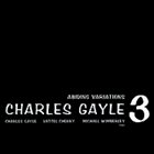 CHARLES GAYLE Abiding Variations album cover