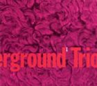 CHICAGO UNDERGROUND DUO / TRIO /  QUARTET - CHICAGO / LONDON UNDERGROUND Chicago Underground Trio ‎: Slon album cover