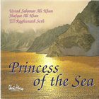 CHRIS HINZE Princess Of The Sea (with Ustad Salamat Ali Khan, Shafqat Ali Khan, Raghunath Seth) album cover