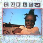 CURLEW Live In Berlin album cover
