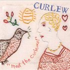 CURLEW Meet The Curlews album cover