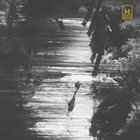 DANIEL CANO The History of Cardenio album cover
