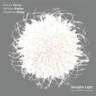 DANIEL CARTER Daniel Carter / William Parker / Matthew Shipp : Seraphic Light album cover