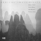 DANIEL CARTER Daniel Carter, Stelios Mihas, Irma Nejando, Federico Ughi : Radical Invisibility album cover