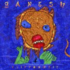 DAVE FLIPPO Ganesh album cover