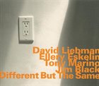 DAVE LIEBMAN Different But The Same album cover