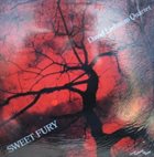 DAVE LIEBMAN Sweet Fury album cover