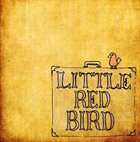 DAVE MATTHEWS BAND Little Red Bird album cover