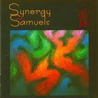 DAVE SAMUELS Synergy Percussion With Dave Samuels ‎: Synergy With Samuels album cover