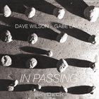 DAVE WILSON (US/NZ) Dave Wilson & Gabe Lavin : In Passing album cover