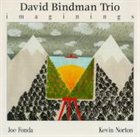 DAVID BINDMAN David Bindman Trio ‎: Imaginings album cover
