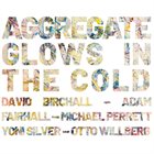 DAVID BIRCHALL David Birchall / Adam Fairhall / Michael Perrett / Yoni Silver / Otto Willberg : Aggregate Glows In The Cold album cover