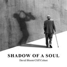 DAVID BLOOM — David Bloom and Cliff Colnot : Shadow Of A Soul album cover