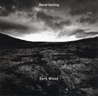DAVID DARLING Dark Wood album cover