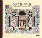 DAVID EL-MALEK Music from Source Vol. II album cover
