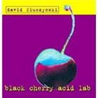 DAVID FIUCZYNSKI Black Cherry Acid Lab album cover