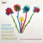 DAVID FRIESEN A Light Shining Through album cover