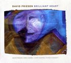 DAVID FRIESEN Brilliant Heart album cover