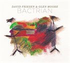 DAVID FRIESEN David Friesen and Glen Moore : Bactrian album cover