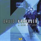 DAVID KRAKAUER A New Hot One album cover