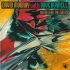 DAVID MURRAY Windward Passages (With Dave Burrell) album cover