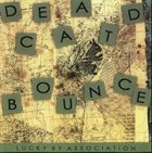 DEAD CAT BOUNCE Lucky By Association album cover